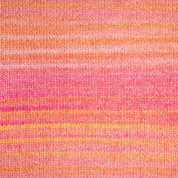 Panda Bliss 10 Ply - 5102 Tullip