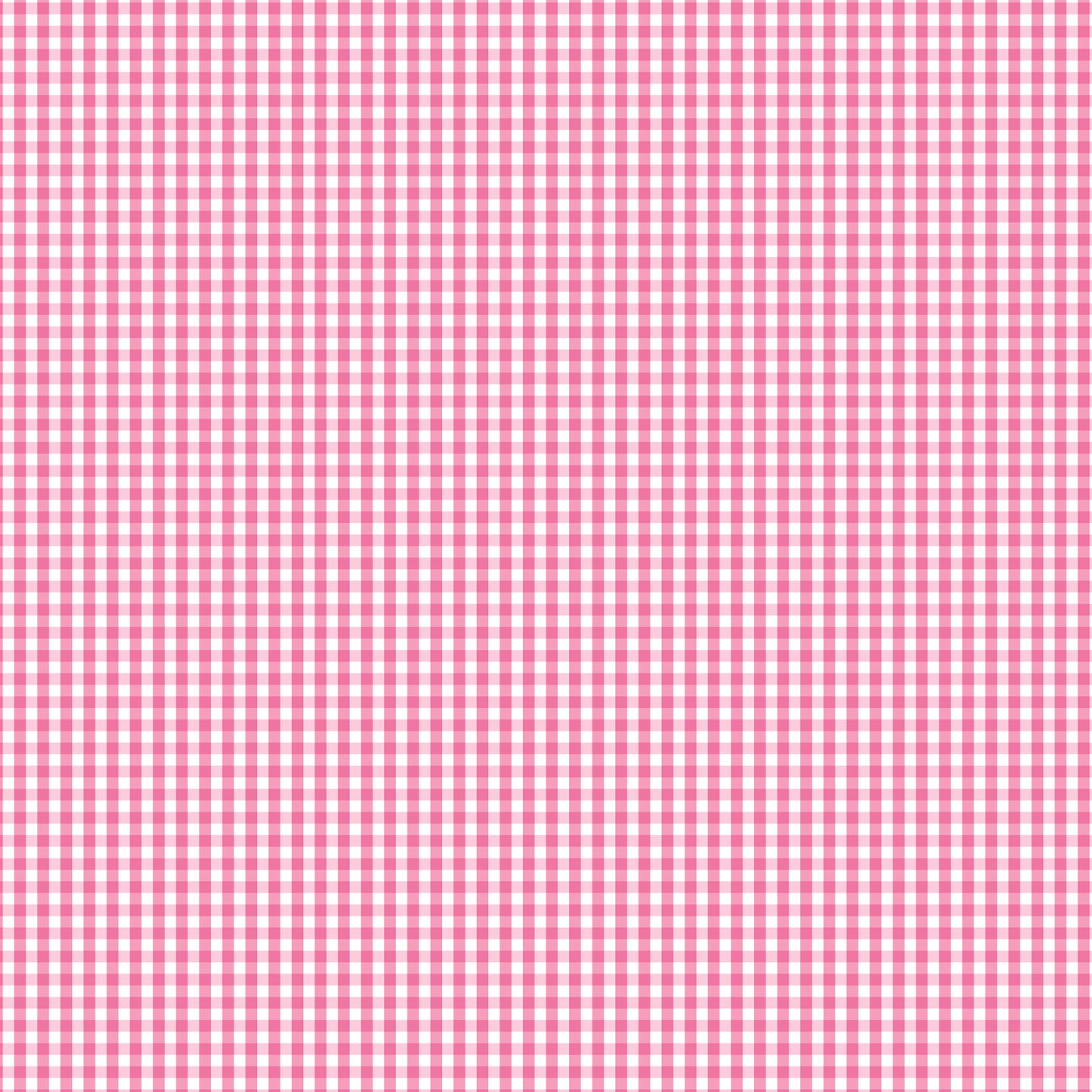 FUNDAMENTALS 1/8 CHECK LT PINK