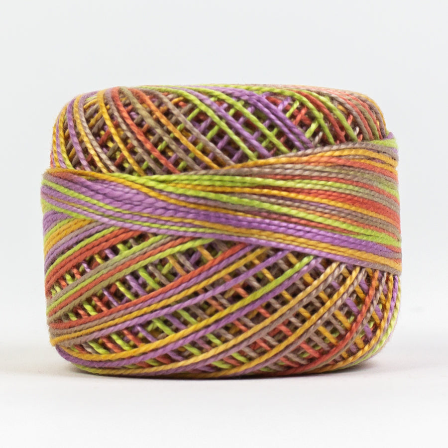 EL5GM-1085-(WFEZ-) Fancy Pants