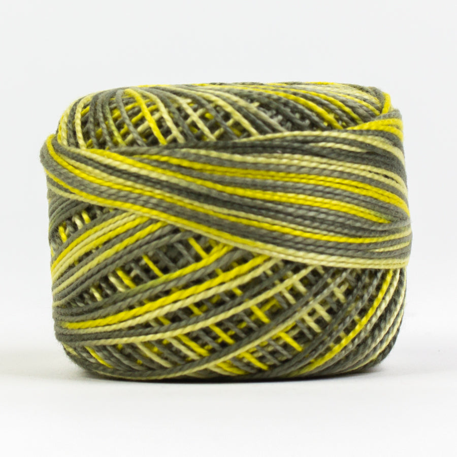 EL5GM-1089-(WFEZ-) Wattle