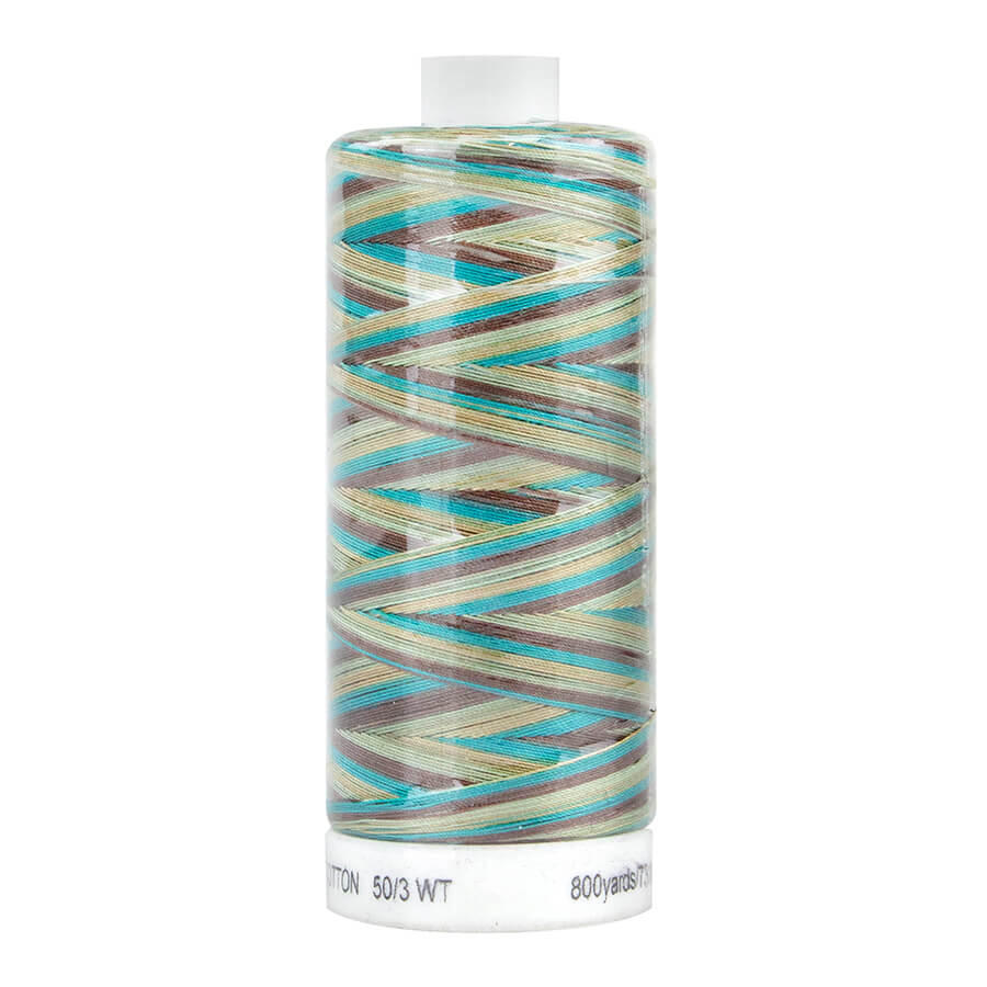 SEW EASY COLLECTION VARIEGATED 731M COL 4256