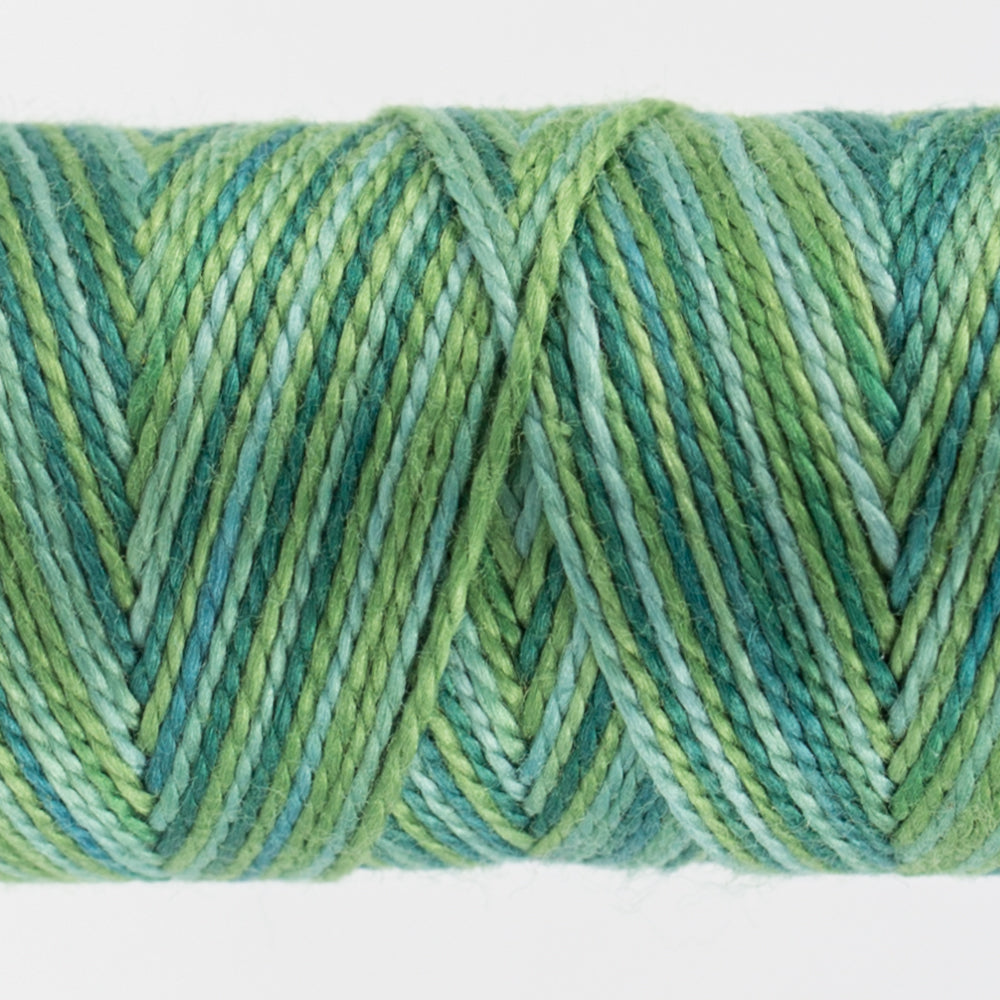 EZM - 21 – (SS) Birds Eye View