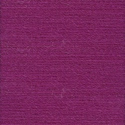 0157 Plum - Rasant 1000m