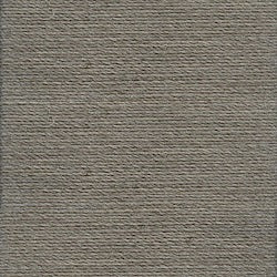 0415 Very Light Ash Grey - Rasant 1000m