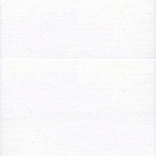 Rasant 1000m - 2002 White