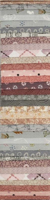 Rainbow Precut 2.5 inch #0037 Rose