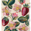 Strawberry Slow Stitching Kit