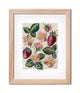 Strawberry Slow Stitching Kit