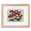 Hellebores Slow Stitching Kit
