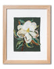 Magnolia Slow-Stitching Kit