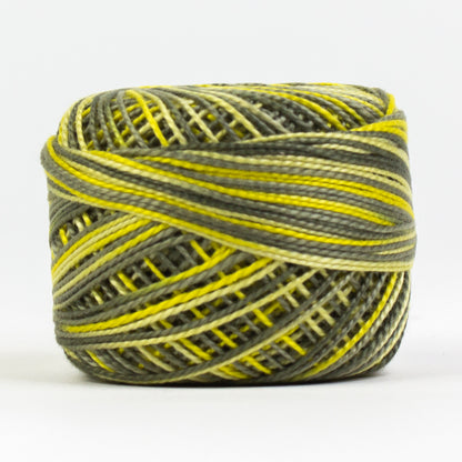 EL5GM-1089-(WFEZ-) Wattle