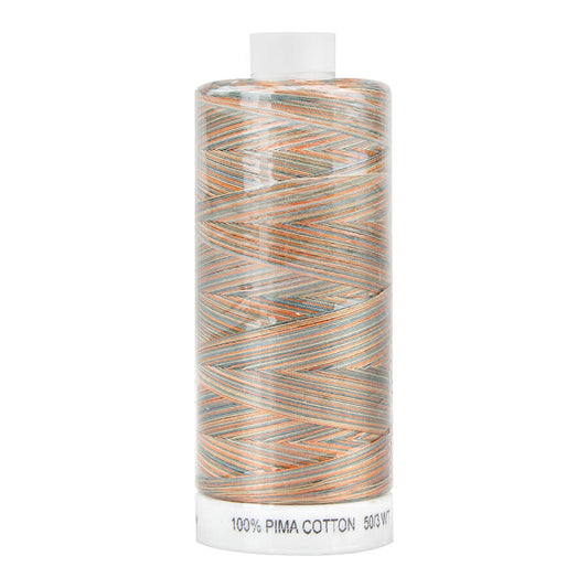 SEW EASY COLLECTION VARIEGATED 731M COL 4243