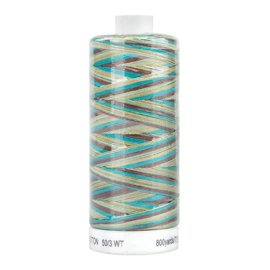 SEW EASY COLLECTION VARIEGATED 731M COL 4256