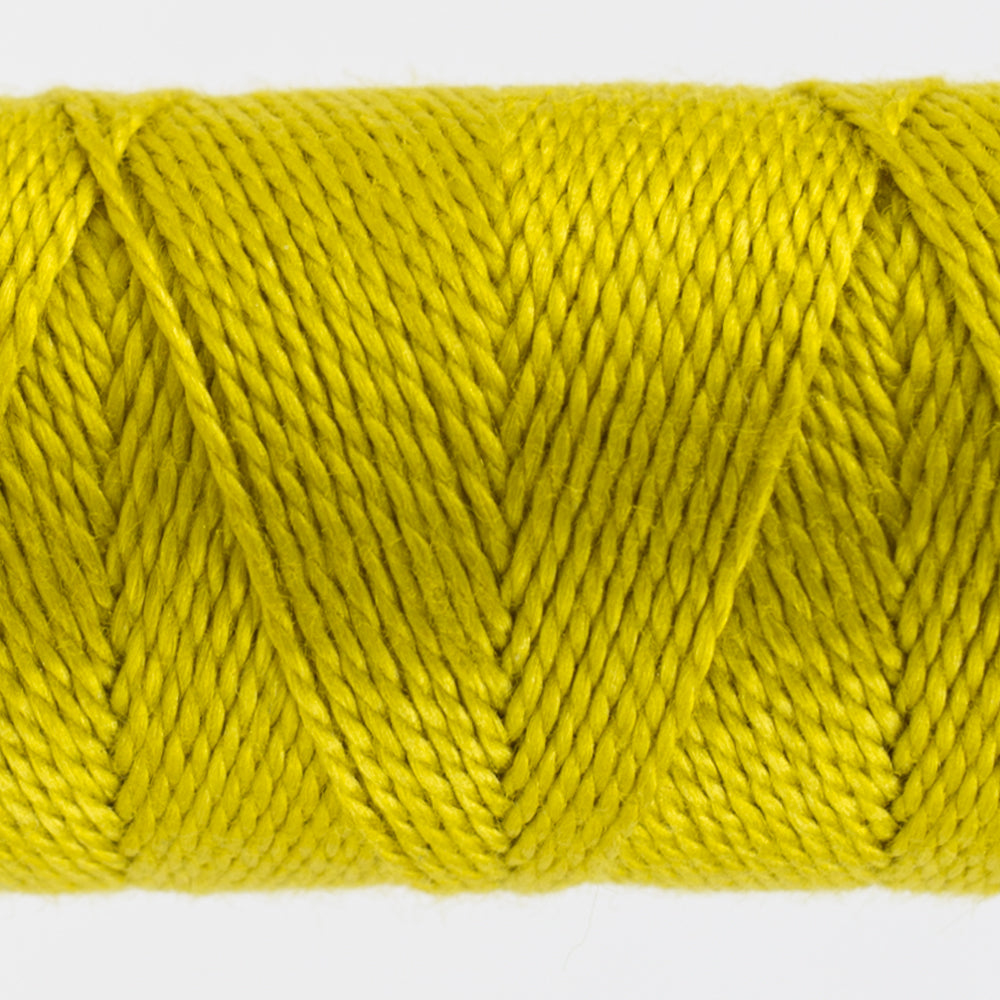 SSEZ17 –  (SS) - Lion’s Mane