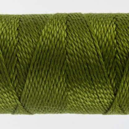 EZ8-33-(SS-) Lazy Lizard