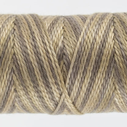 EZM - 03 – (SS)  Sand Dollar