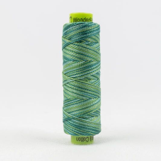 EZM - 21 –  (SS) Birds Eye View