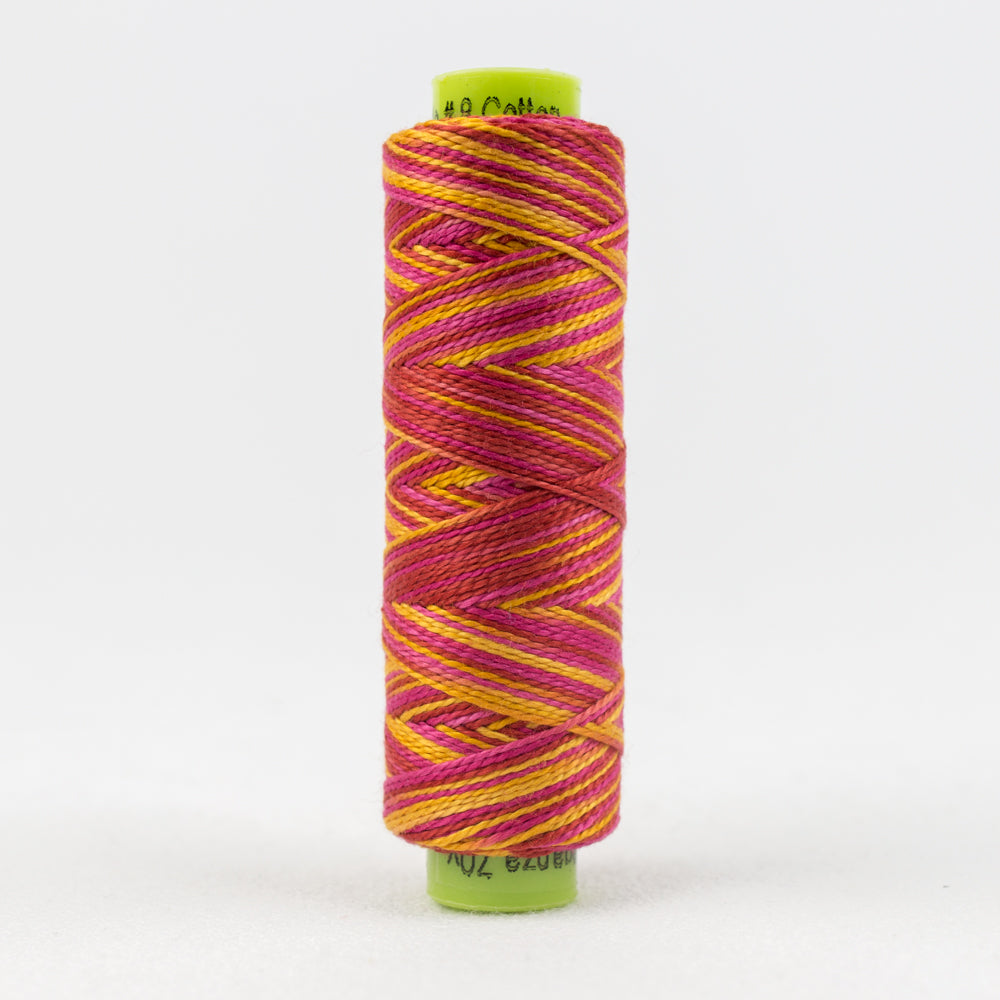 EZM8-25-(SS-) Clambake