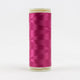IF704 – Fuchsia - 400m