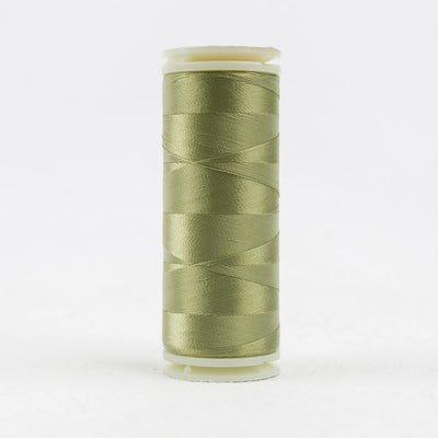 IF723 – Eucalyptus 400m