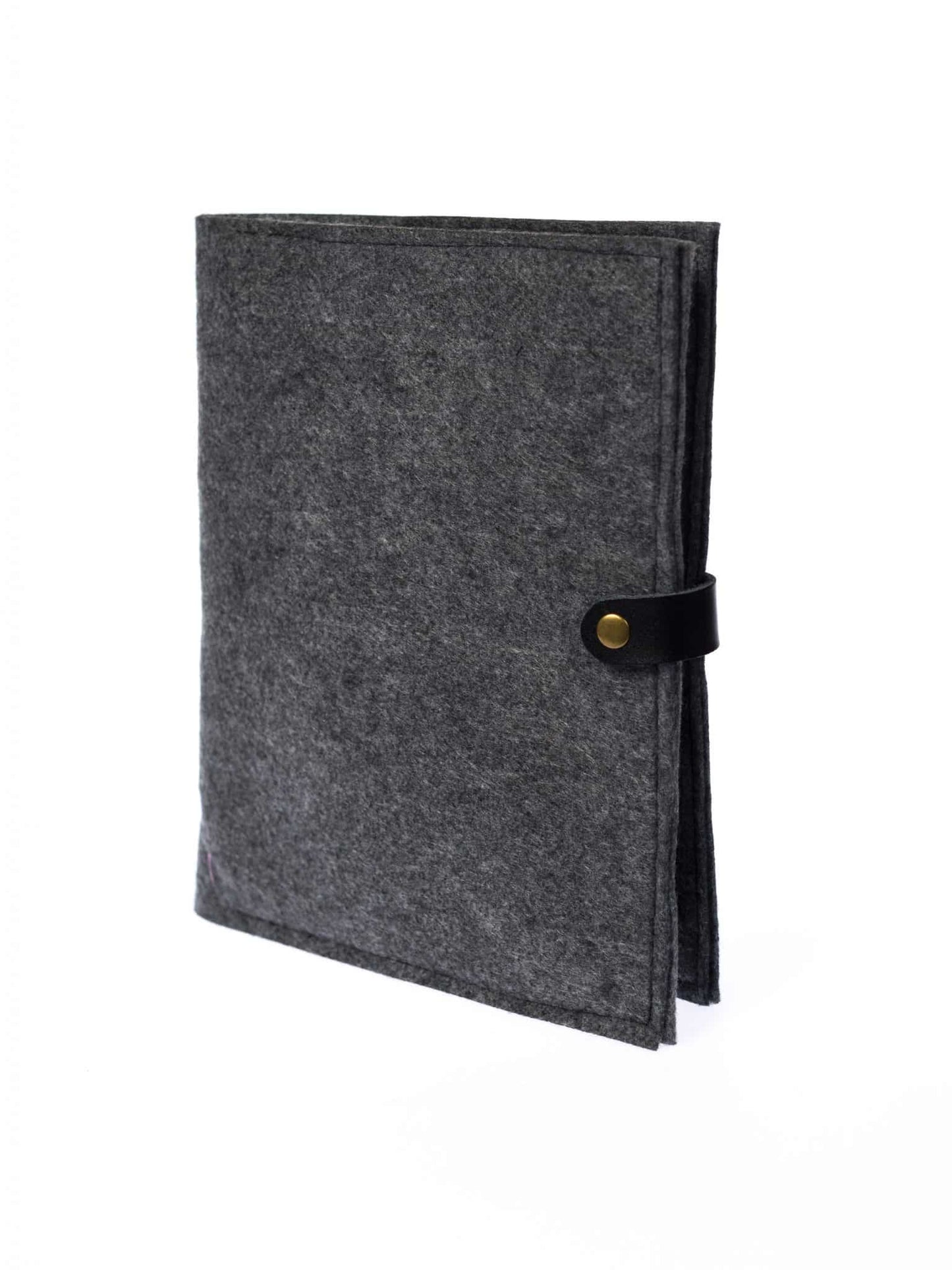 Book Cover - Aster & Anne