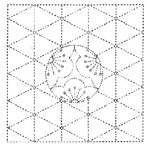 White - 5 , Sashiko Printed Cloth - Flower & Fans