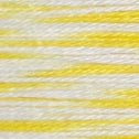 303 - 4ply -Sashiko Thread Variegated 40m