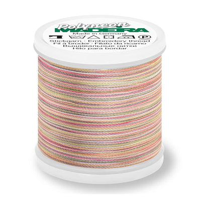 Polyneon 40 Multicolour 200m - 1505