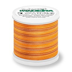 Madeira Polyneon 40 Multicolour 200m - 1507