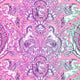 Freespirit Fabrics Tula Pink Legendary Pony Tales Wild Orchid