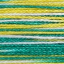 402 - 4 ply Sashiko Thread Variegated 40m