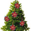 Poinsettia Slow-Stitching Kit